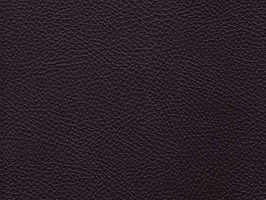 Leather Upholstery 南亞呼吸系列 皮革 沙發皮革 3860 巧克力